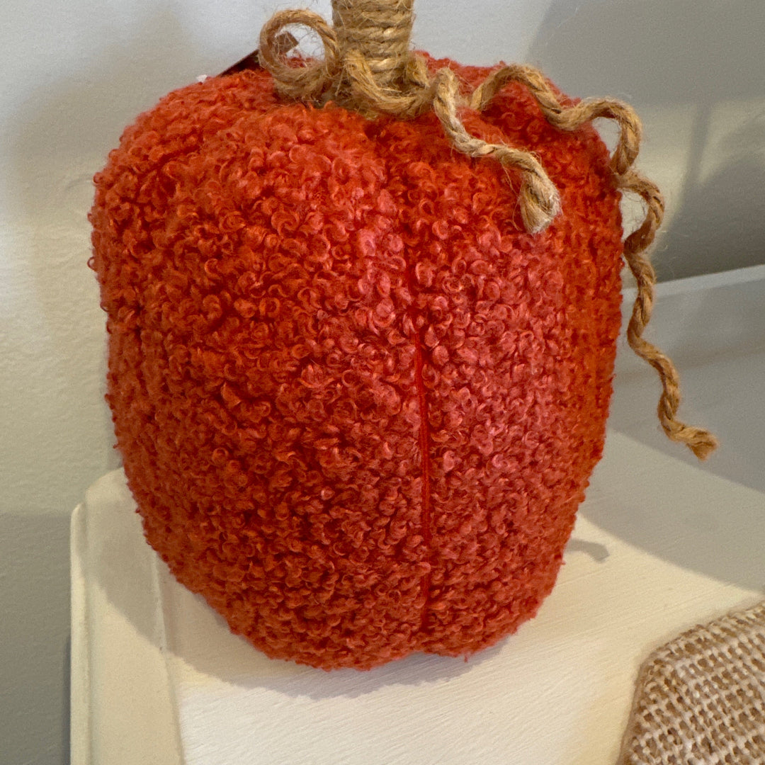 Lg Sherpa pumpkin Jan