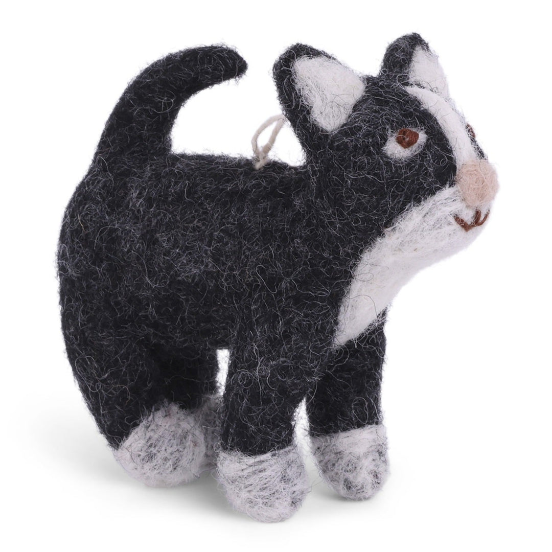Cat dark grey
