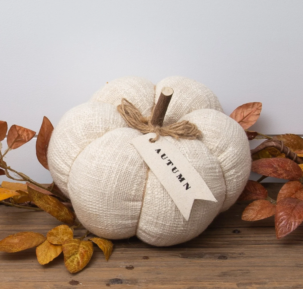 Pumpkin cream w/tag lg