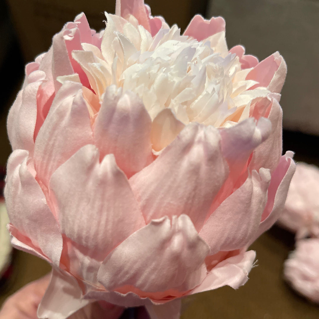 Pink artichoke stem large