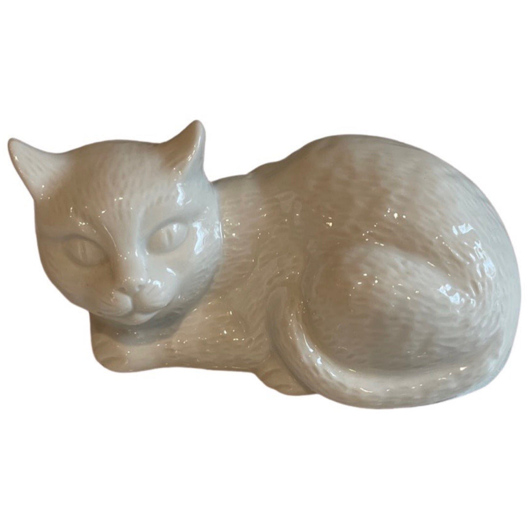 White cat laying