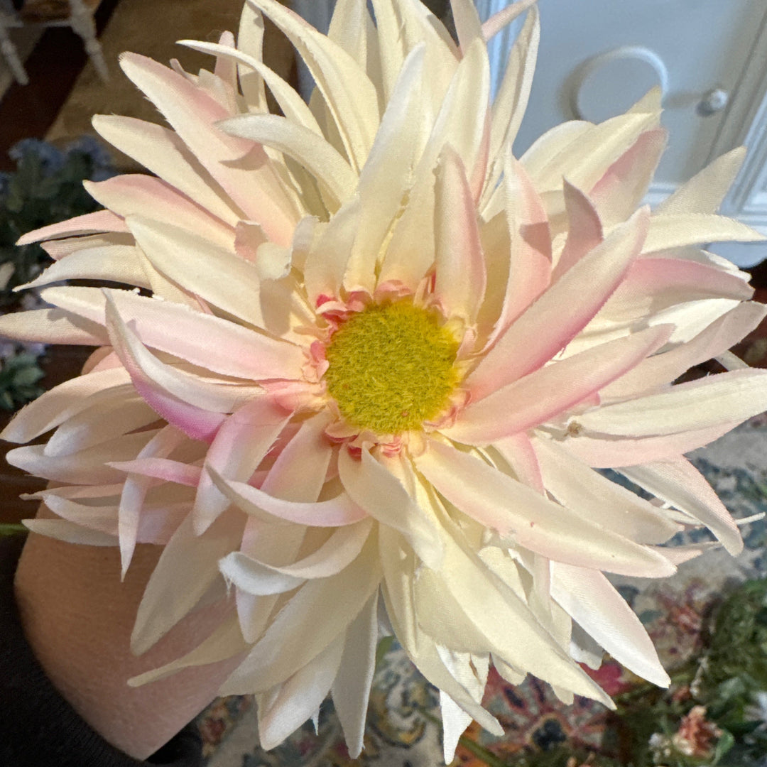 22” soft pink gerber daisy stem