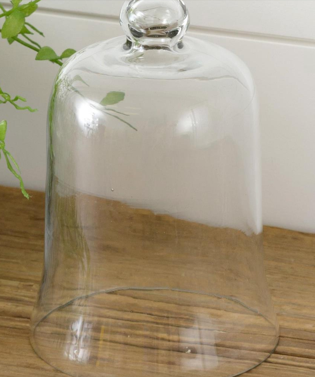 Glass cloche, sm
