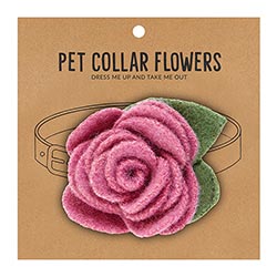 Collar Flower