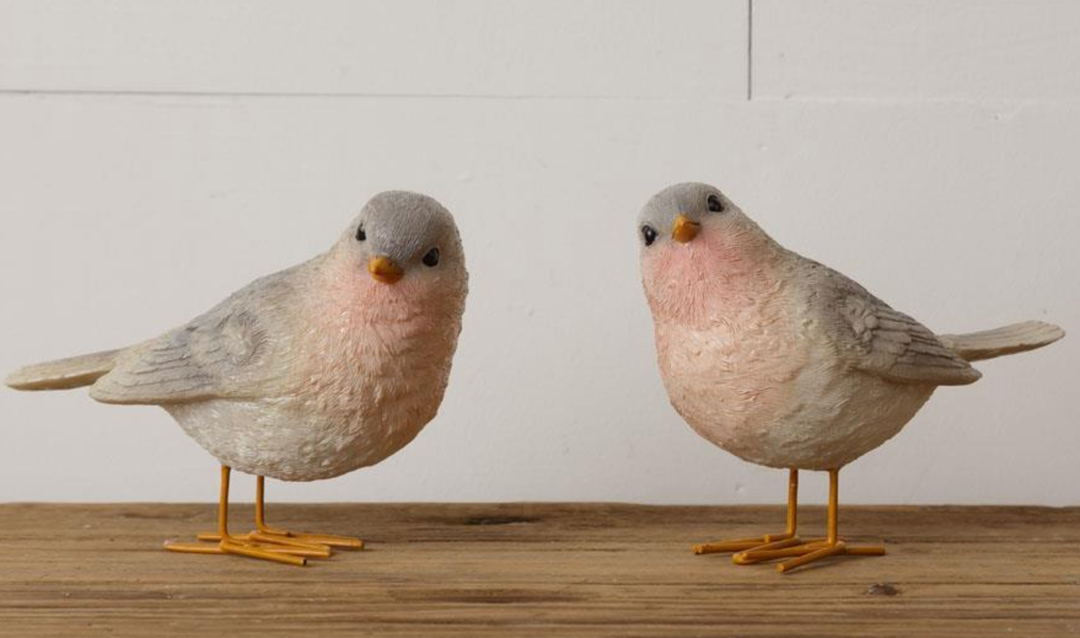 Bird standing