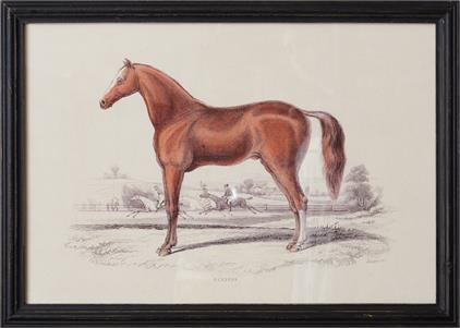 Framed horse print