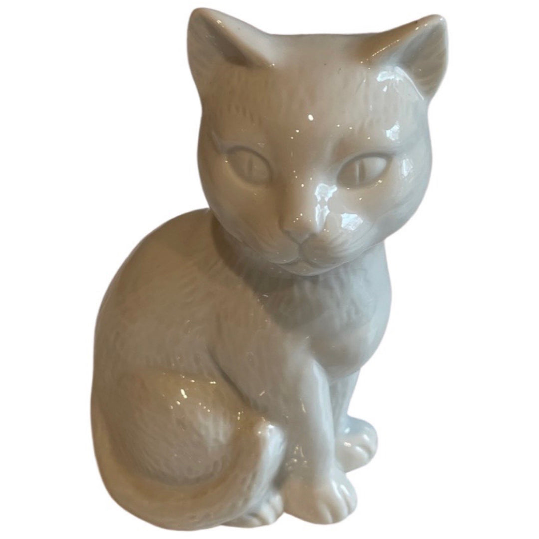 White cat sitting