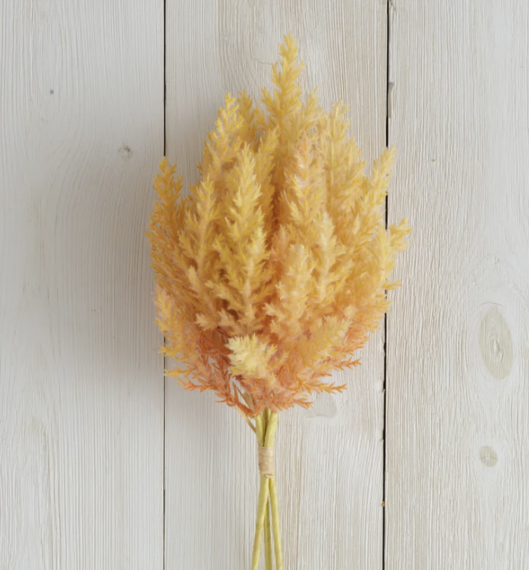 Branch-pampas orange