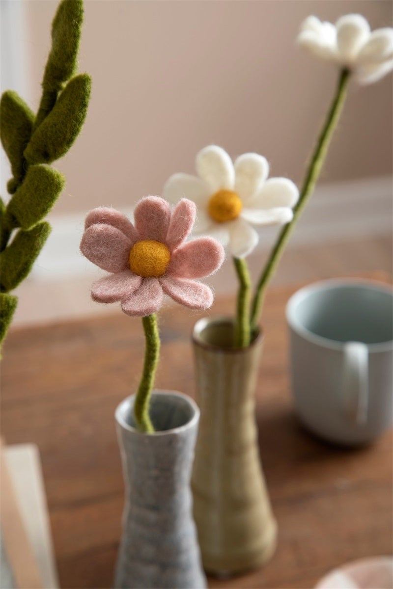 Anemone dusty rose
