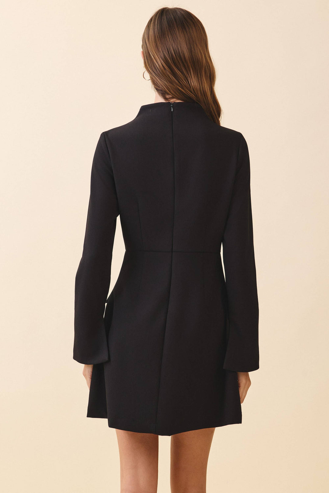 Black Fitted Bodice Long Sleeve Dress