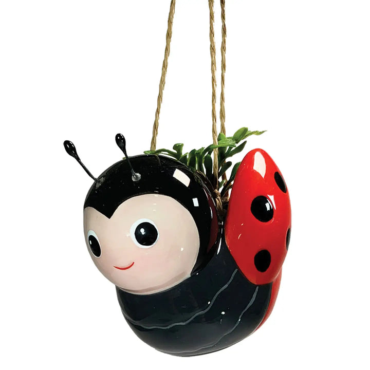 Mini Hanging Planter