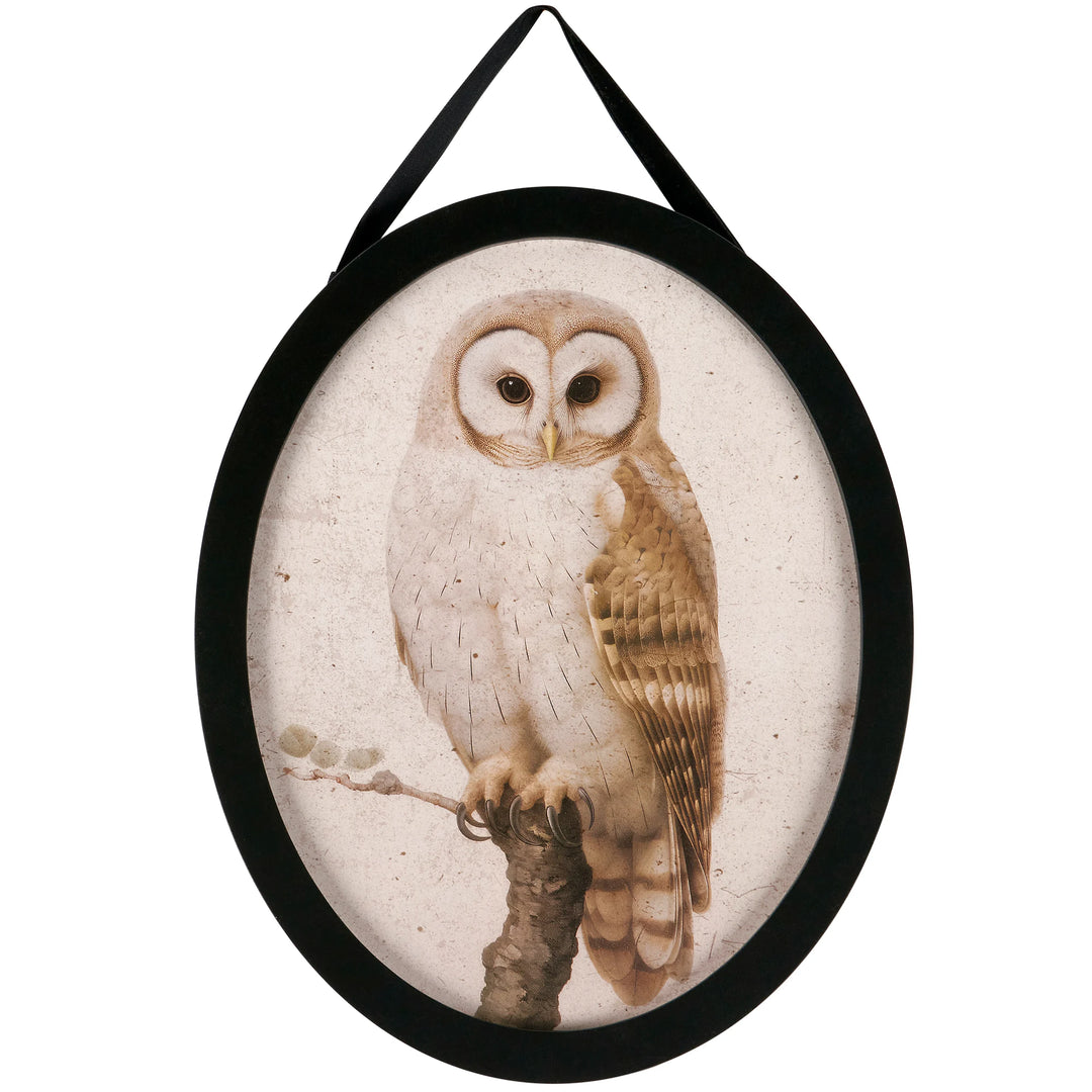 Owl Wall Hanging Oval