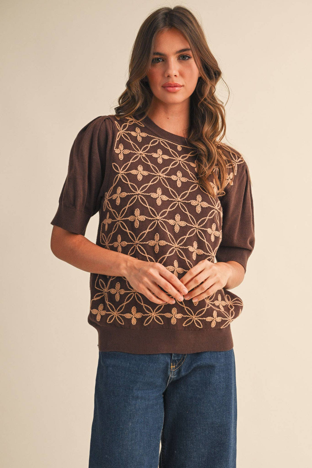 Brown Puff Sleeve Sweater Top