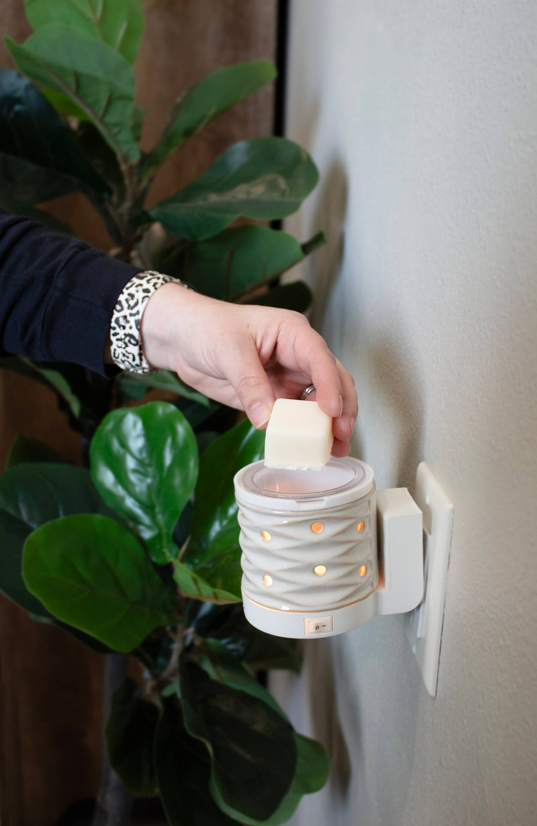 Melts: Roasted Chestnuts