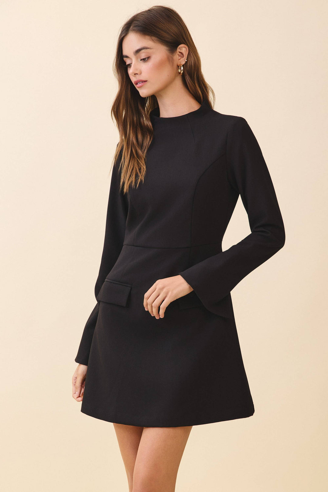 Black Fitted Bodice Long Sleeve Dress