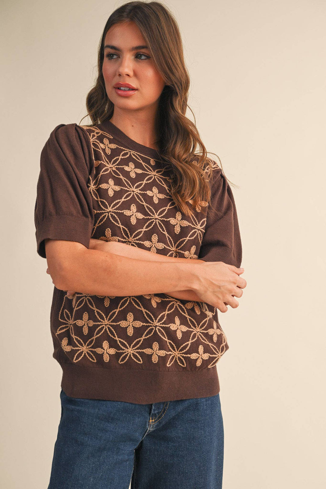 Brown Puff Sleeve Sweater Top