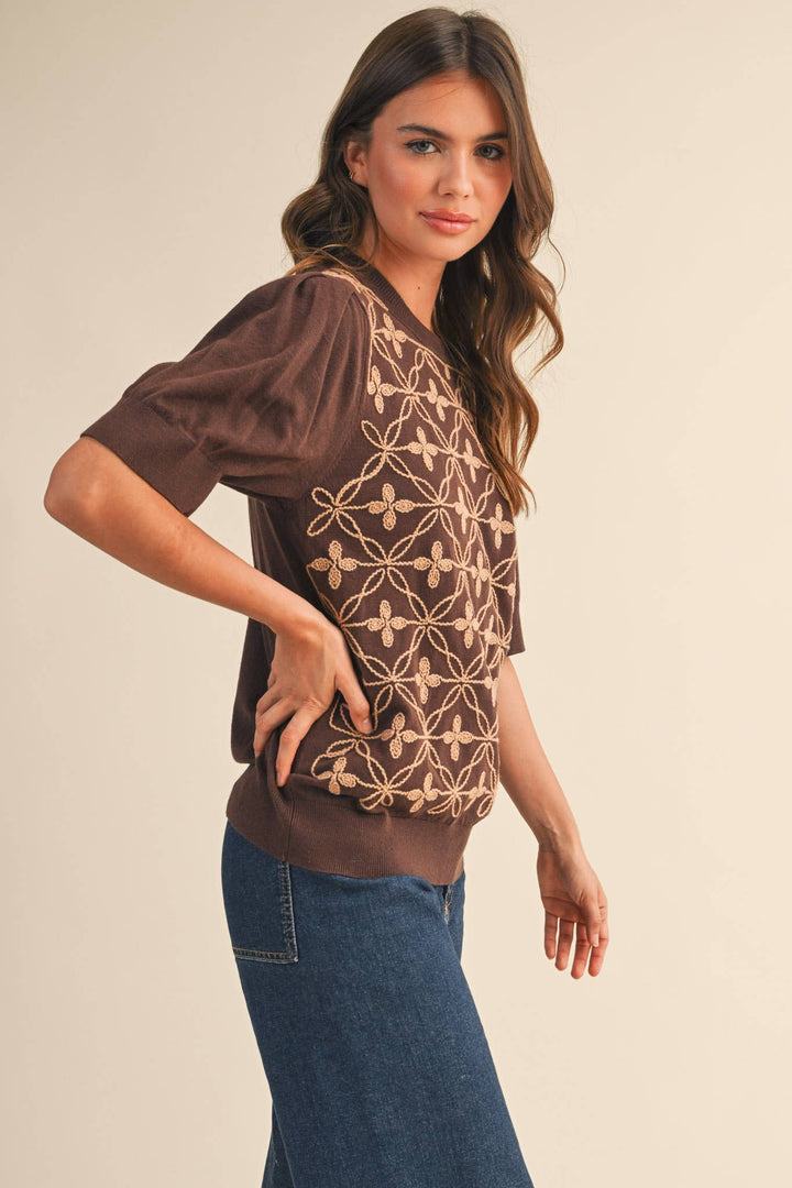 Brown Puff Sleeve Sweater Top