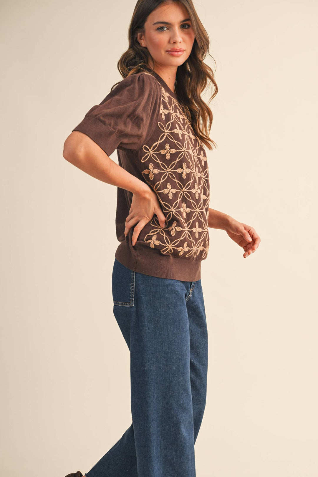 Brown Puff Sleeve Sweater Top