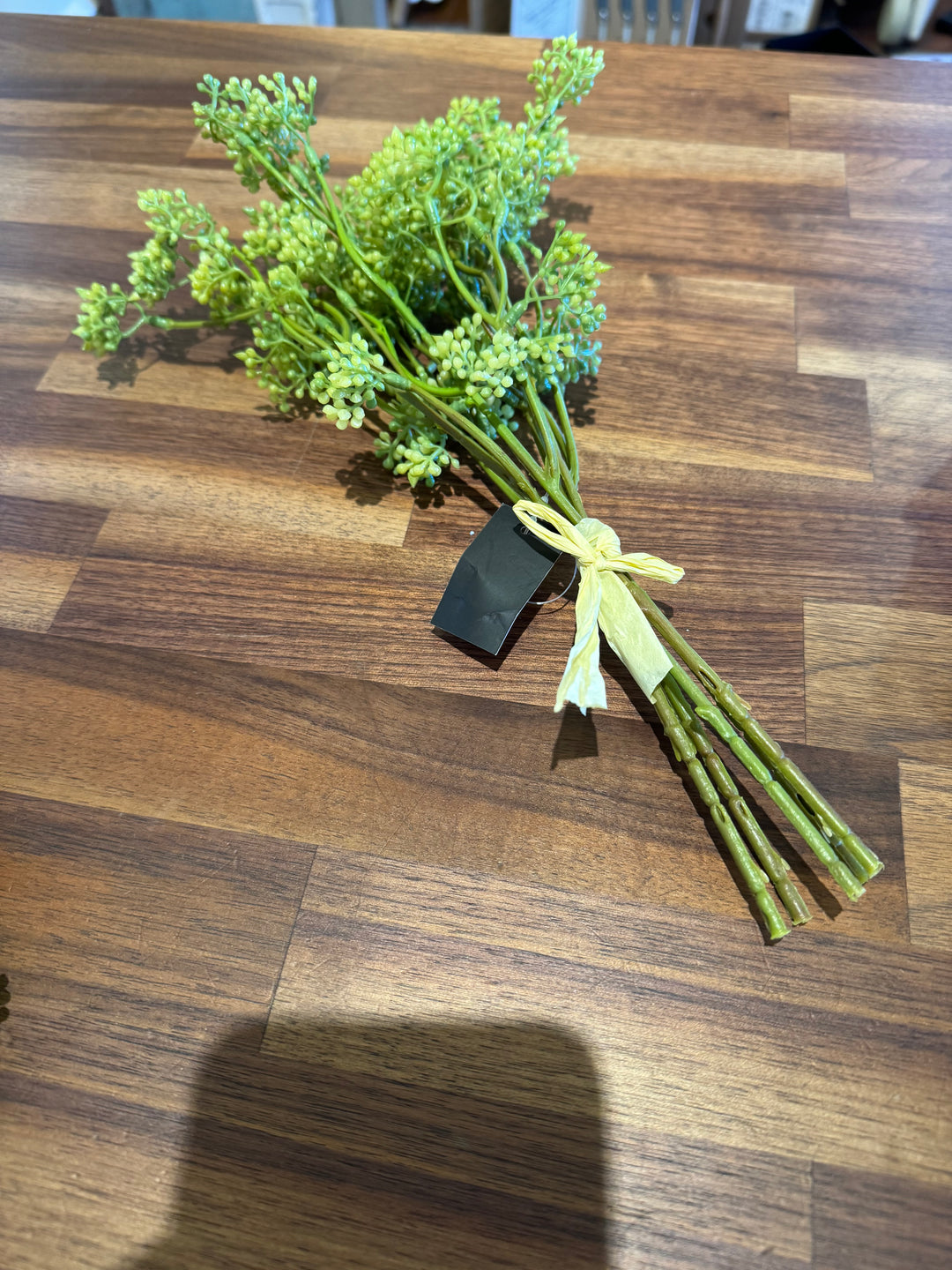 Green Foliage Branch