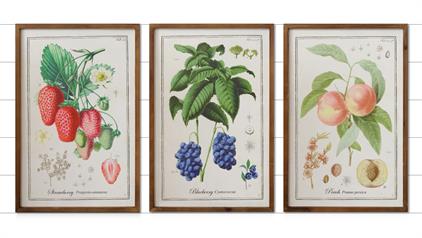 Sign-fruit