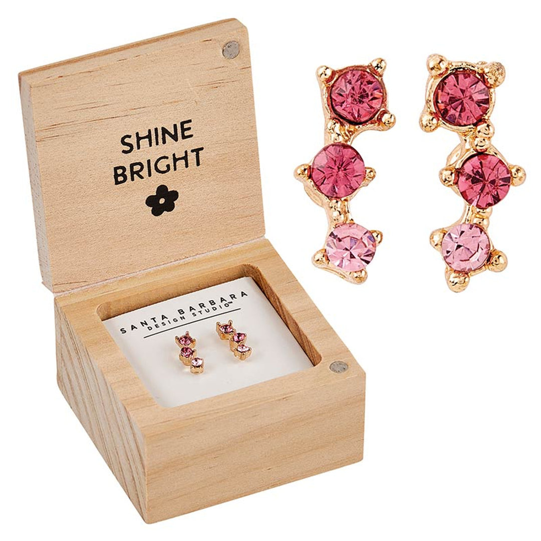 Treasure Box Earrings