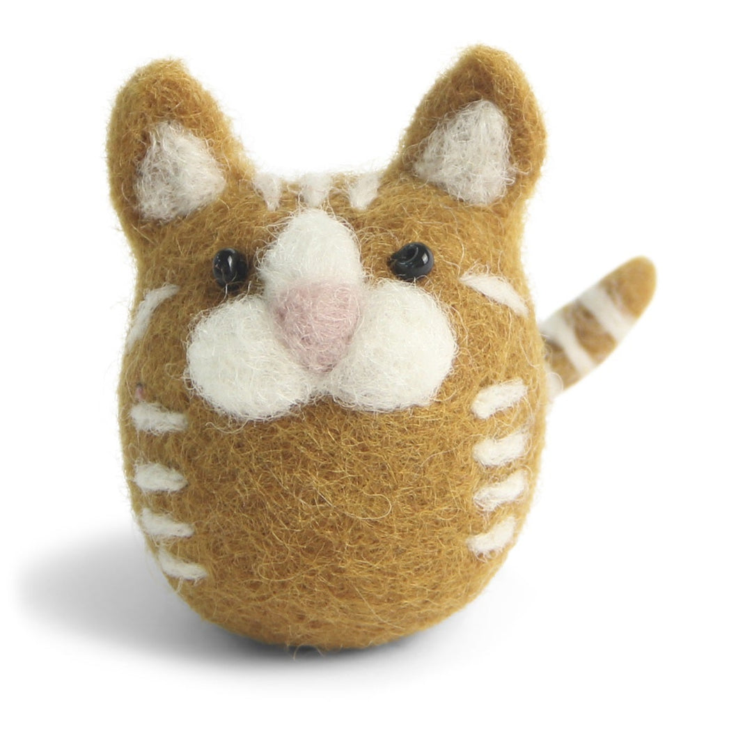 Orange cat