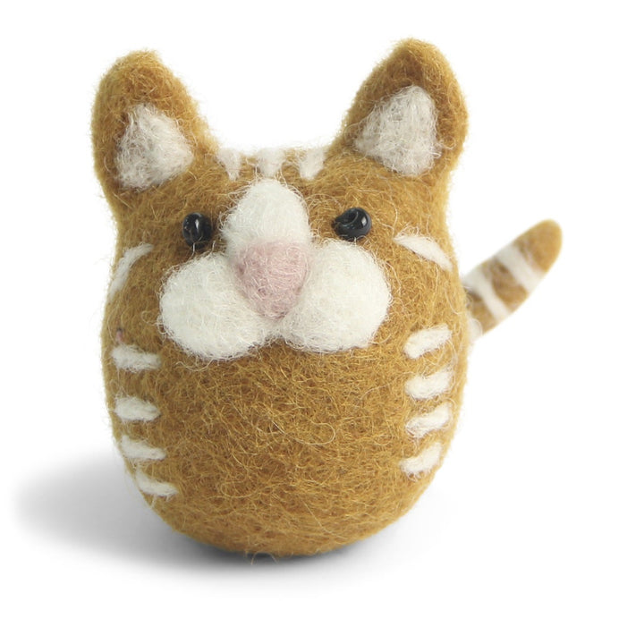 Orange cat