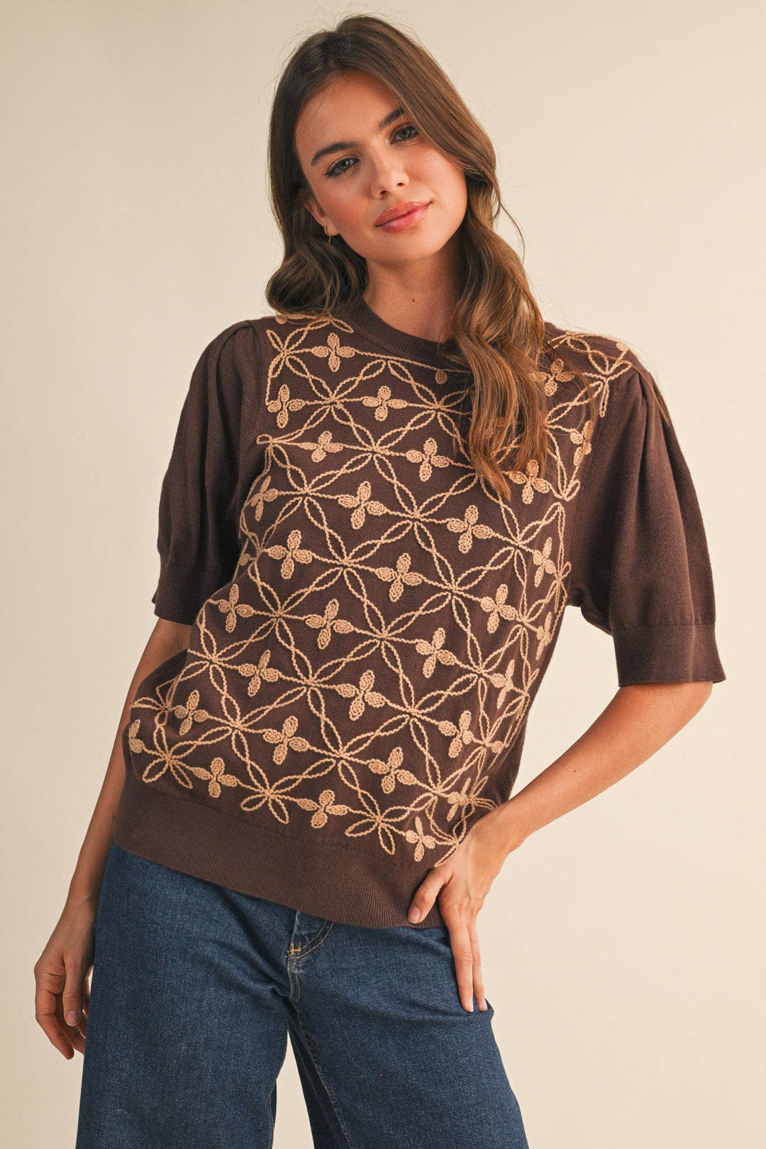 Brown Puff Sleeve Sweater Top
