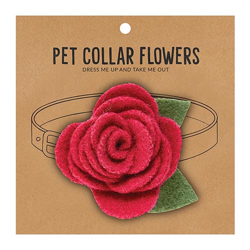 Raspberry collar flower